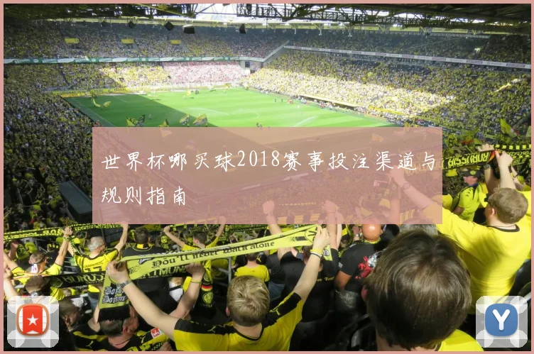 世界杯哪买球2018赛事投注渠道与规则指南