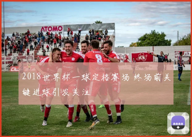 2018世界杯一球定格赛场 终场前关键进球引发关注